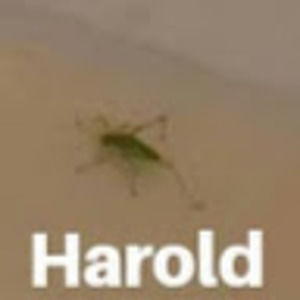 Meet your Posher, Cadence